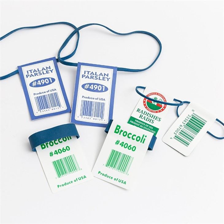 Rubber Band With Labels